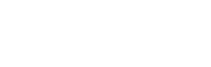 Novel