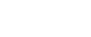 Tulipano to go